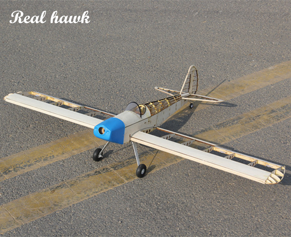 RC 비행기 레이저 컷 발사 우드 비행기 키트, 2.5 - Model Kit New 리뷰 및 가격